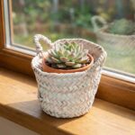 Gemini Generated Image 2368t42368t42368